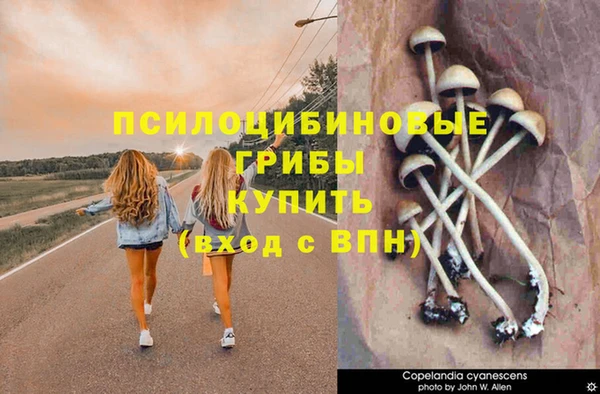 не бодяженный Верея