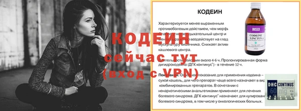 мдпв Верхний Тагил