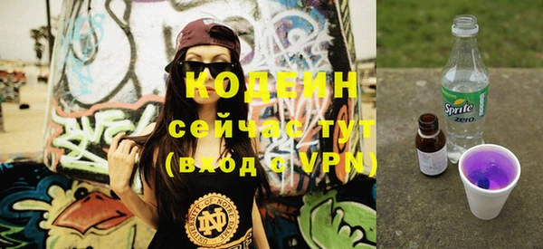 мдпв Верхний Тагил