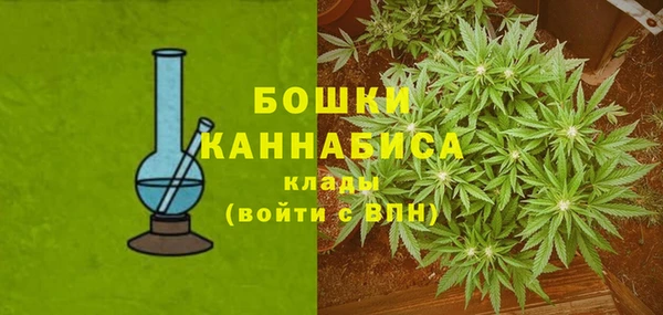 твердый Вяземский