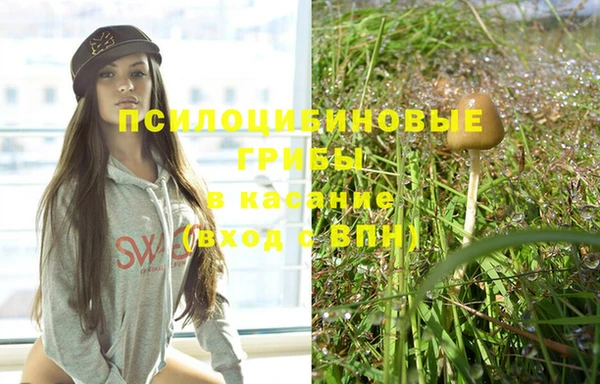 прущие крисы Вязьма