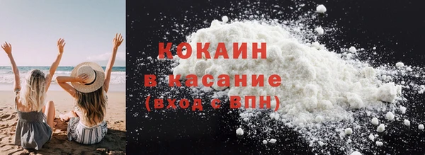 твердый Вяземский