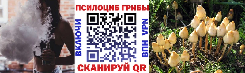 Галлюциногенные грибы прущие грибы  как найти   Волгореченск 